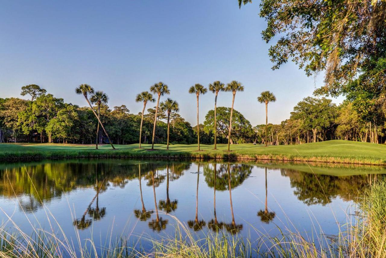 207 Belted Kingfisher Kiawah Island Luaran gambar